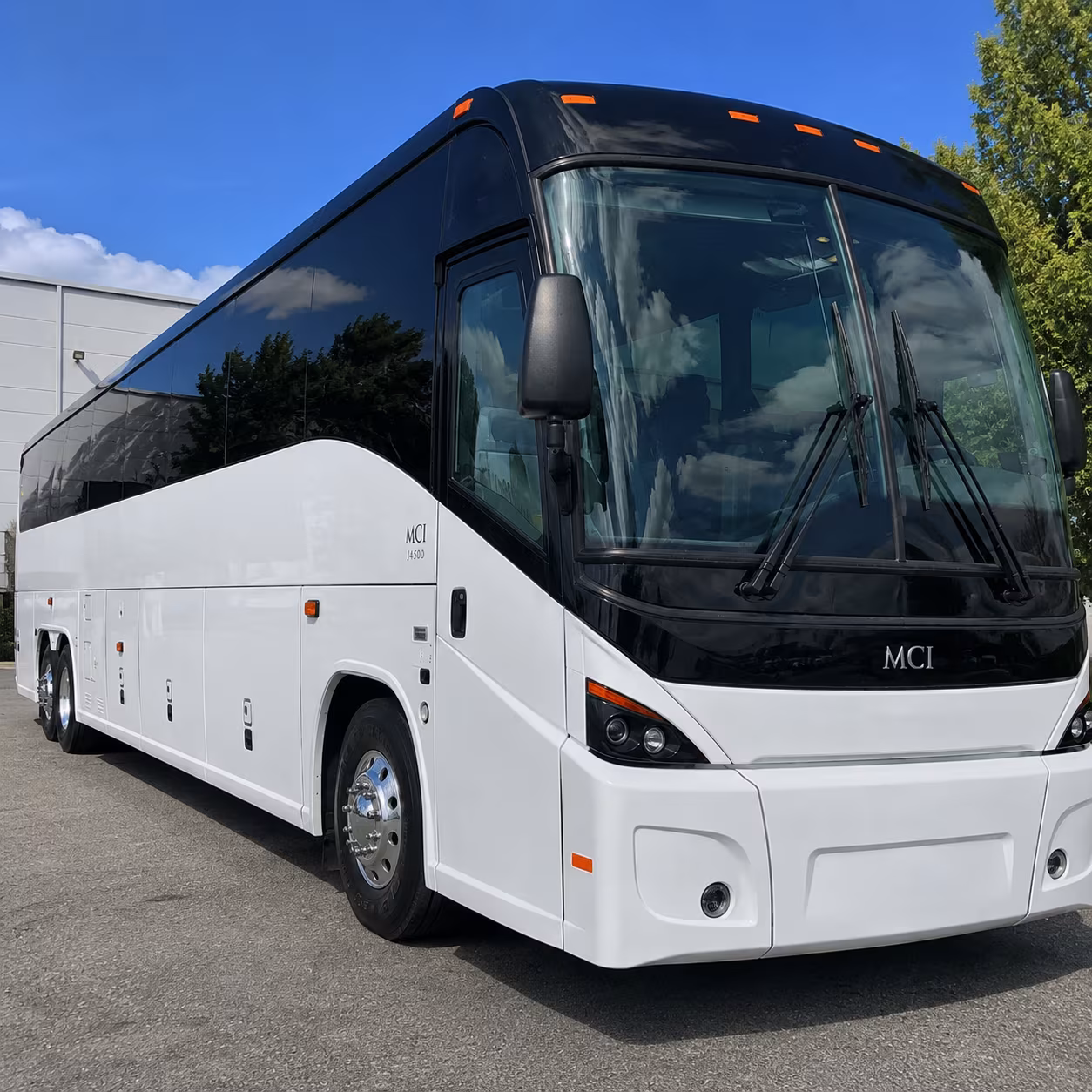 charter buses for jackson zoo and outdoor education field trips