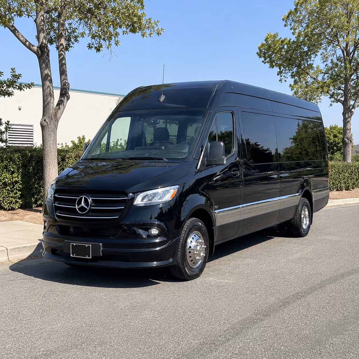 find transportation for your next birthday 5