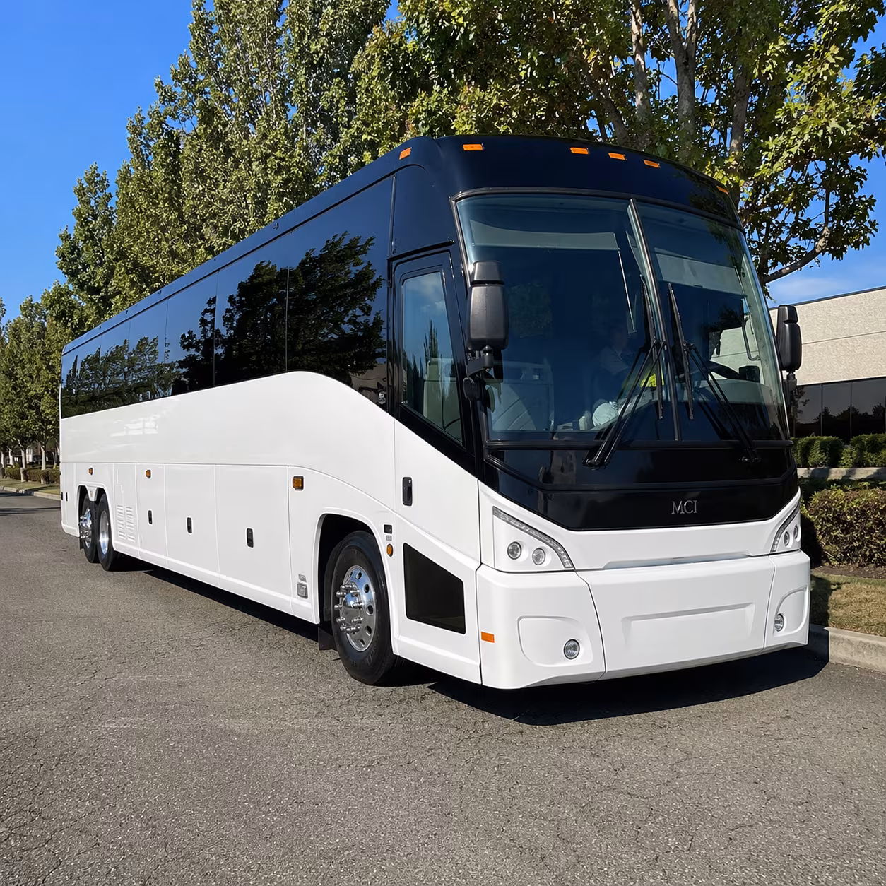 jackson 50 passenger charter bus
