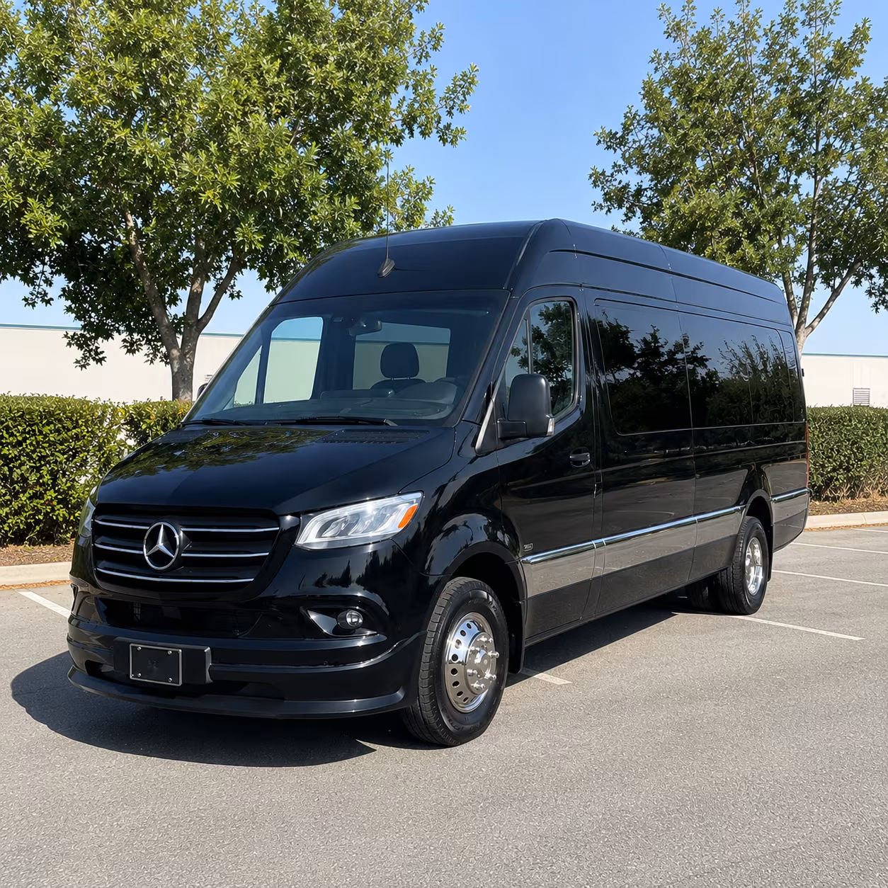 jackson birthday party transportation onboard seating