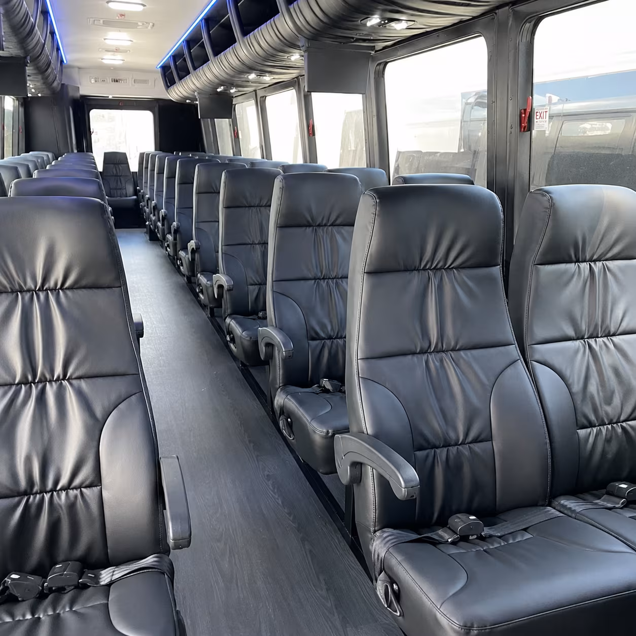 minibus and sprinter van shuttles for small groups flying through jan